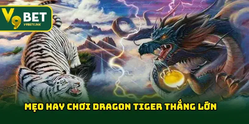 Mẹo hay chơi dragon tiger tăng cơ hội thắng lớn